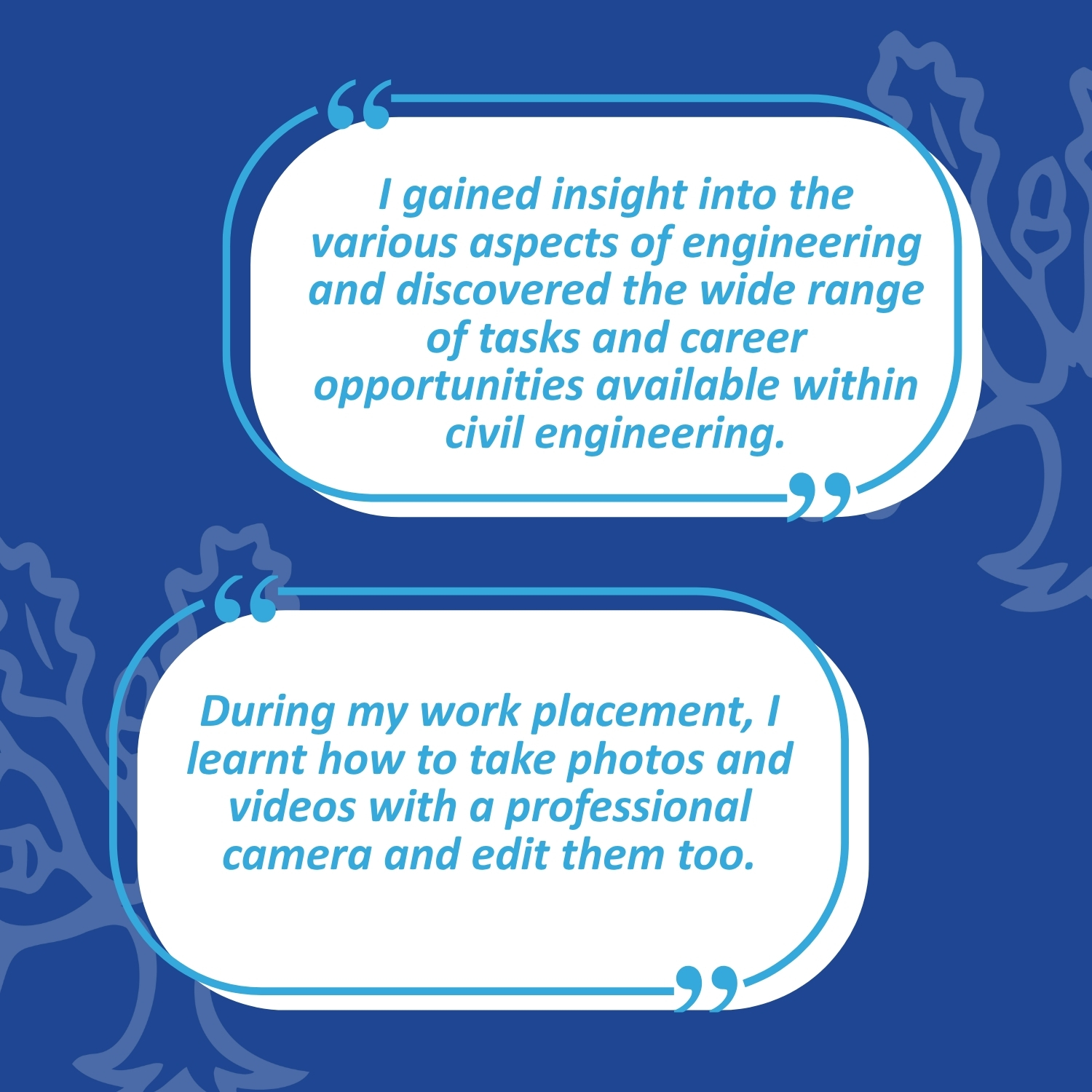 Student feedback about work experience