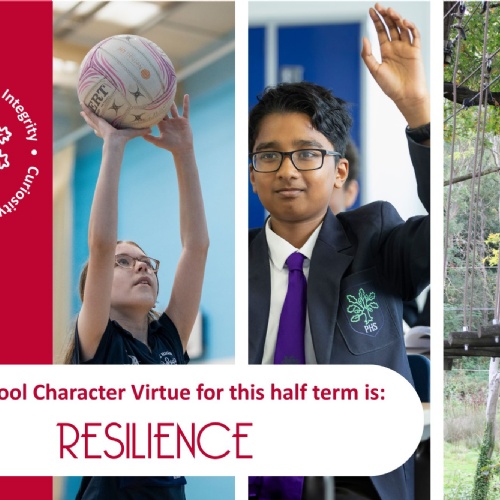 Resilience: Character Value for the Half Term