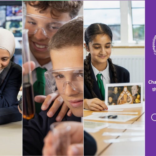 Curiosity: Character Value of the Half-Term